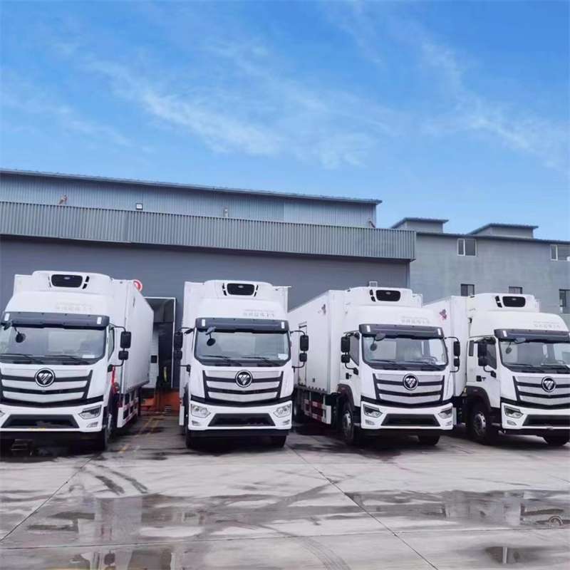 于洪区新龙县进仓物流：多元专线直达运输探秘